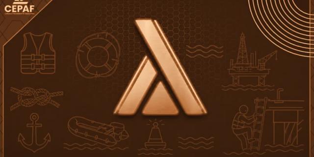 Combo Bronze